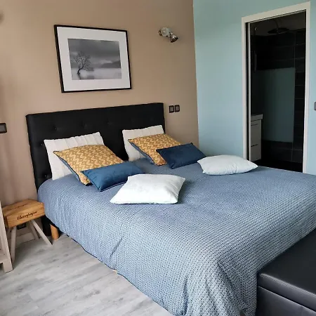 Au Bouchon Champenois Bed and breakfast 3*