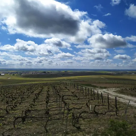Au Bouchon Champenois 3*