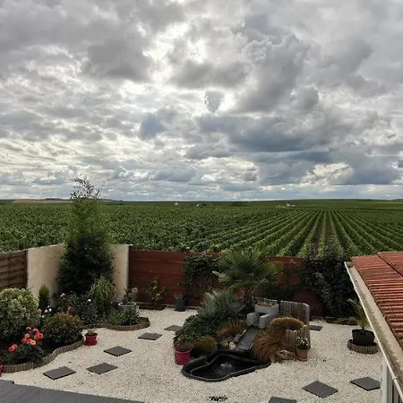 Au Bouchon Champenois Bed and Breakfast