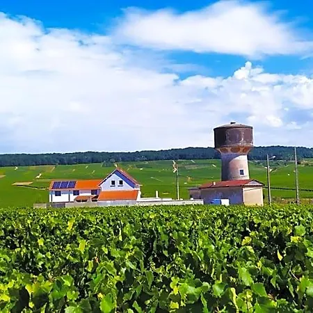 Au Bouchon Champenois Nocleg ze śniadaniem 3*