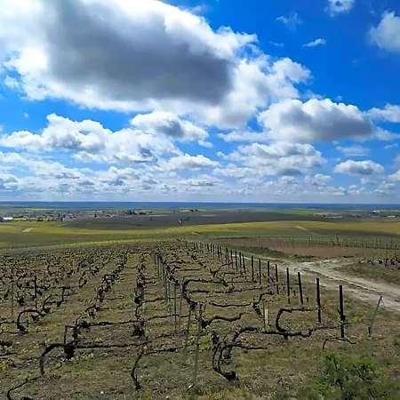 Au Bouchon Champenois Nocleg ze śniadaniem 3*