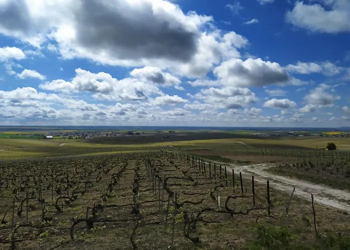 Au Bouchon Champenois 3*